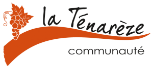 Logo-Communauté-Positif-transparent-1-300x135